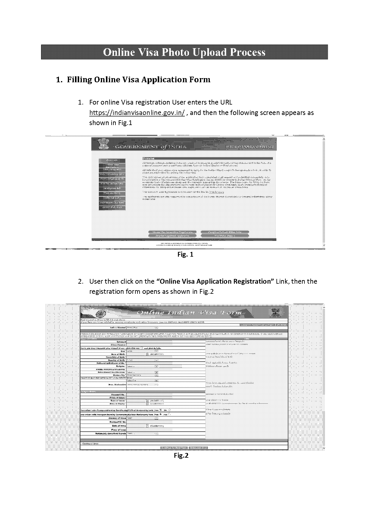 indian visa photo requirements for infants