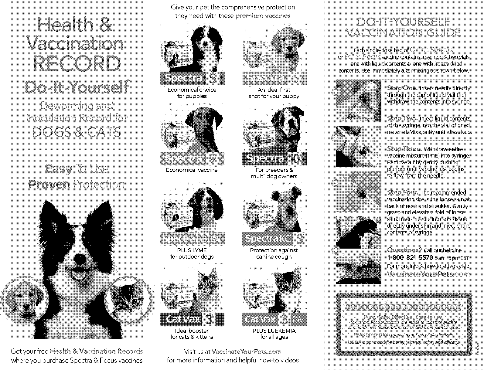 free printable puppy vaccination puppy shot record template