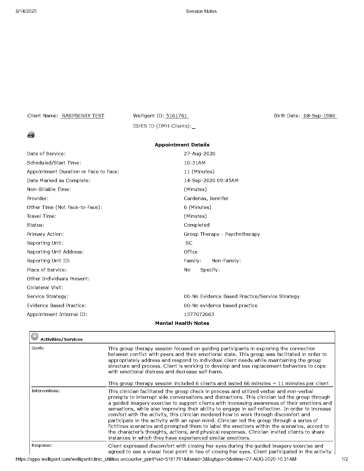 group counselling report sample