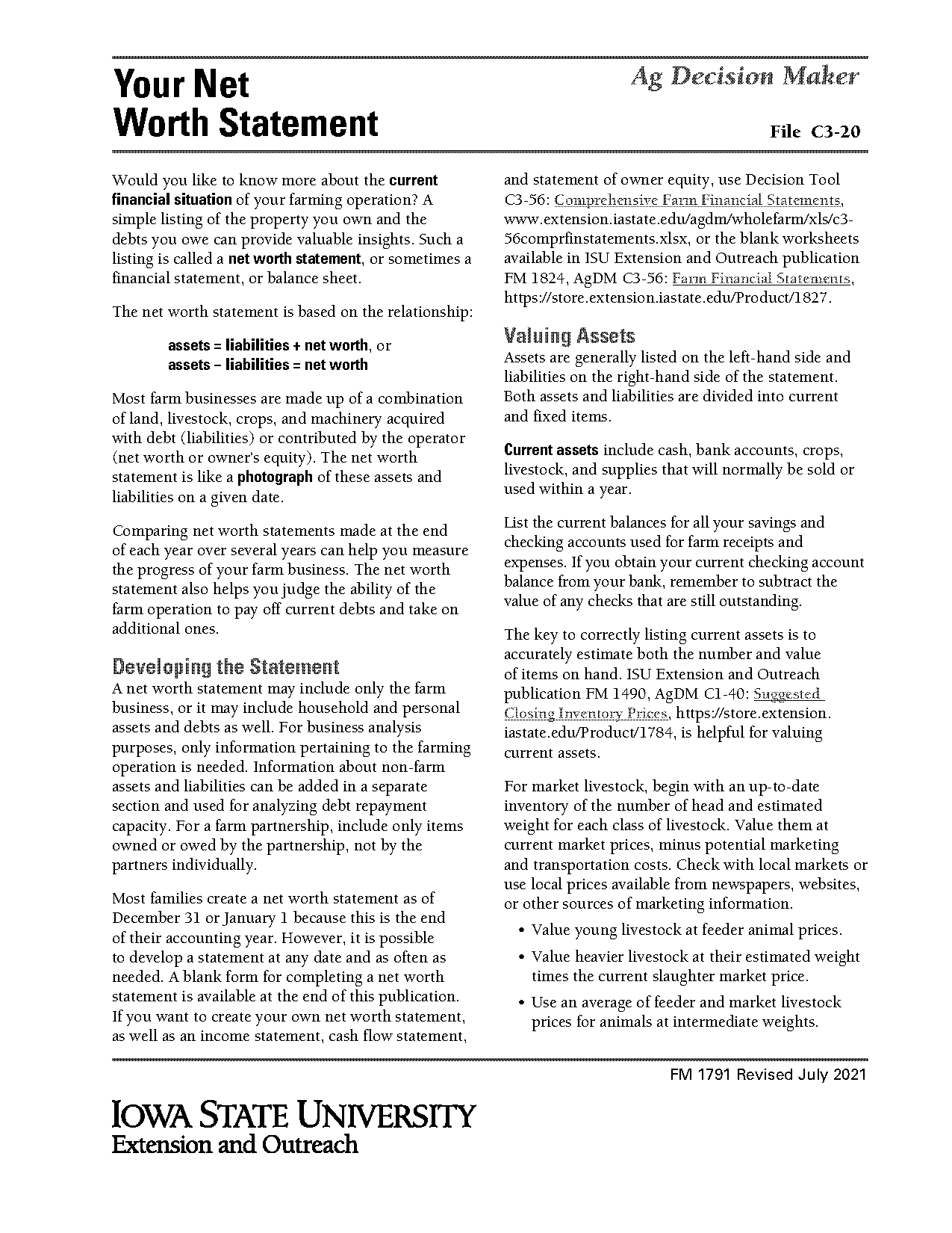 debt to net worth ratio from income statement